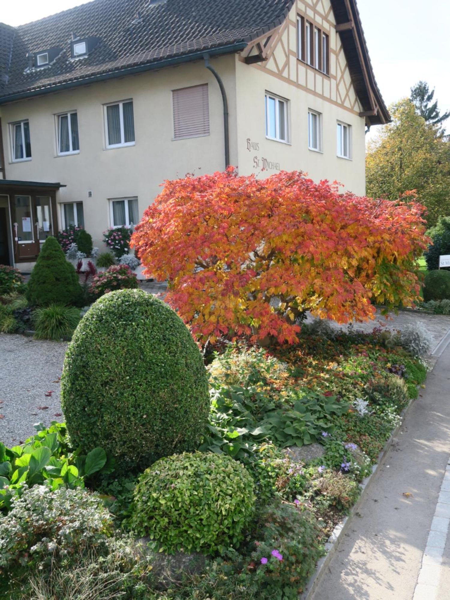 Haus St.Michael Hotel Dozwil Eksteriør billede